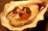 GILLARDEAU oysters with ponzú sauce, purple shiso and ikura